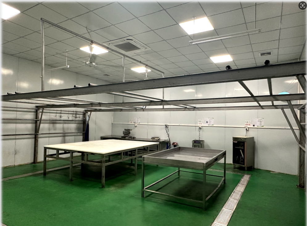 ����ָ��